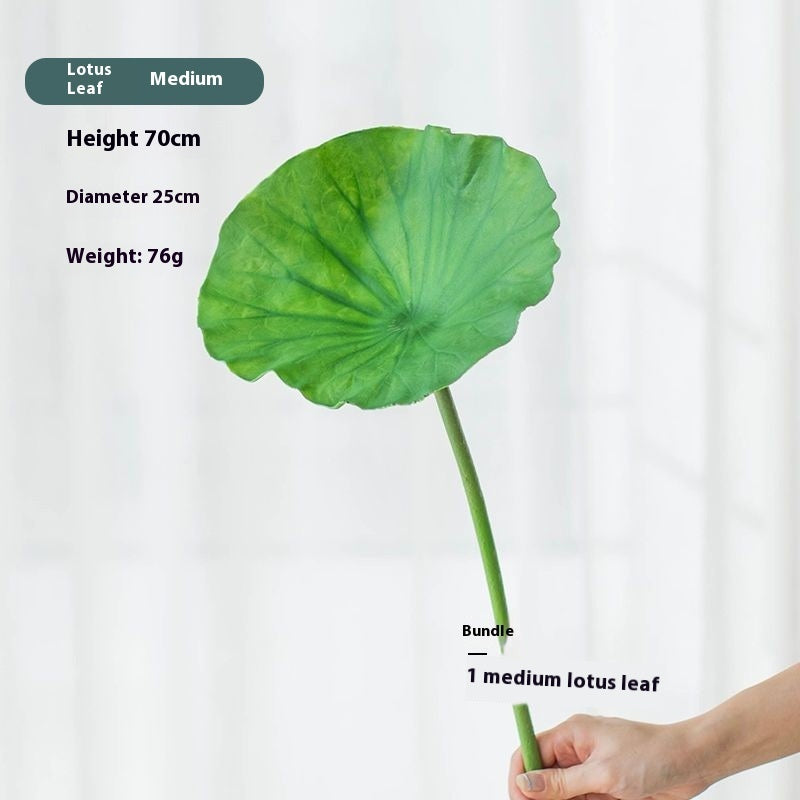 Fiori di loto Baccelli di loto