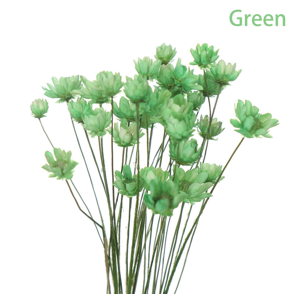 Artificial Flowers Spring Decoration Bright Color Dried