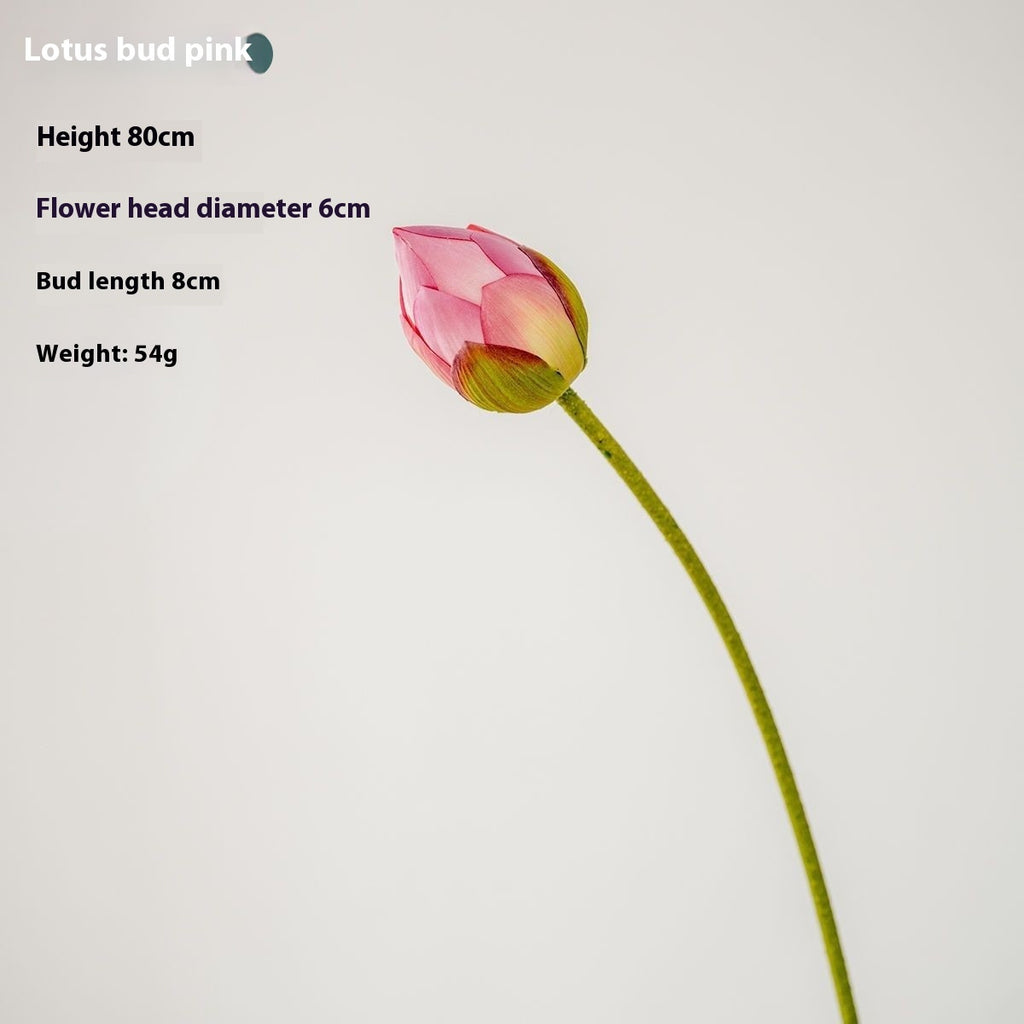 Flowers Lotus Lotus Pods