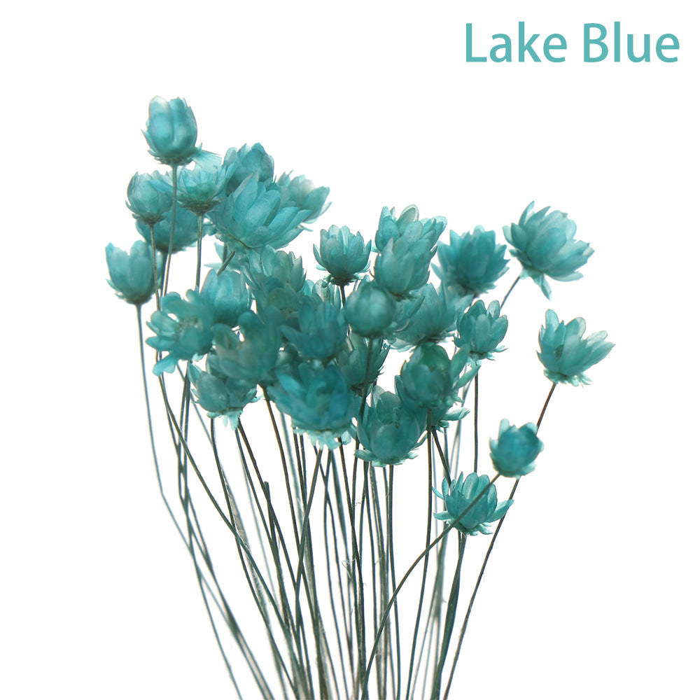 Artificial Flowers Spring Decoration Bright Color Dried