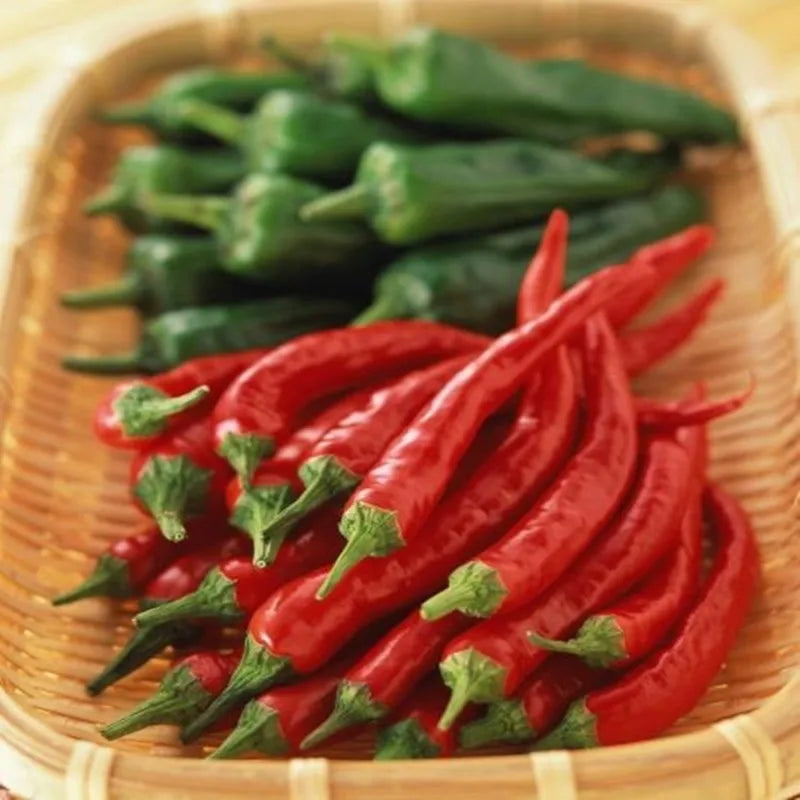 Künstliche Dekorationen, simuliertes Gemüse.