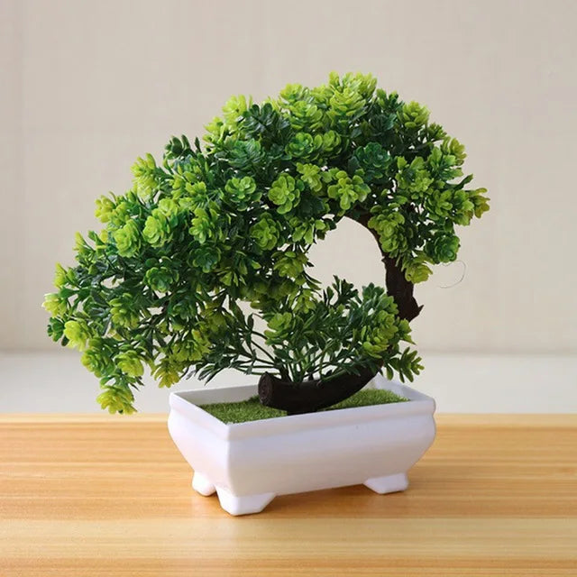 Piccolo albero, fiore, bonsai in vaso, decorazione per casa e ufficio.