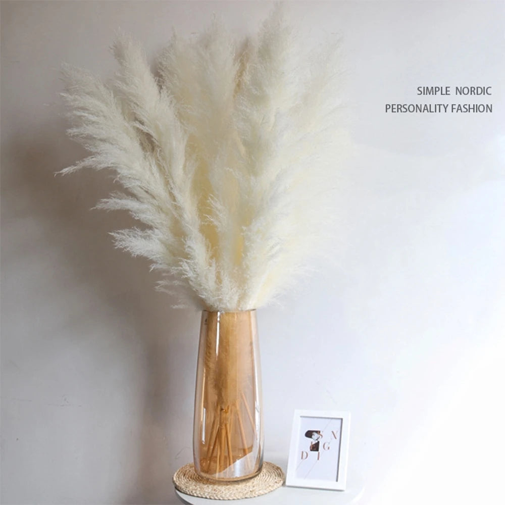 Hierba de la pampa seca y esponjosa, 110-120 cm