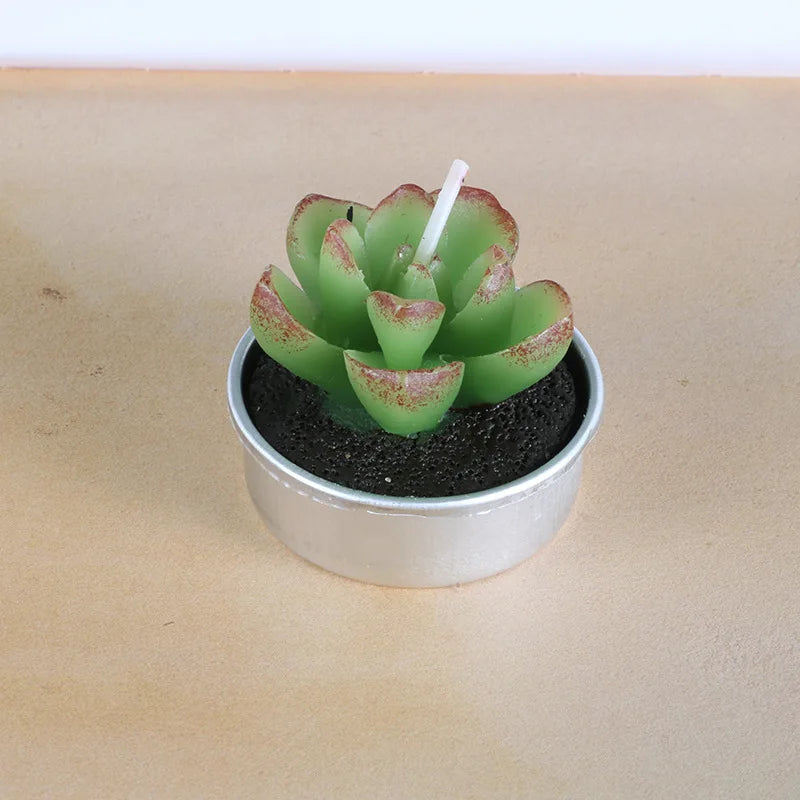 Candele per aromaterapia fatte a mano, piante succulente, rose creative, cactus.