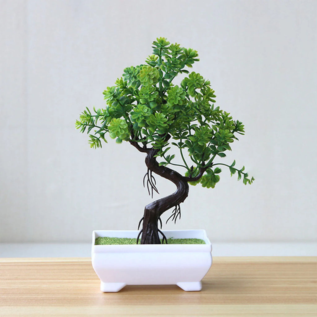 Piccolo albero, fiore, bonsai in vaso, decorazione per casa e ufficio.