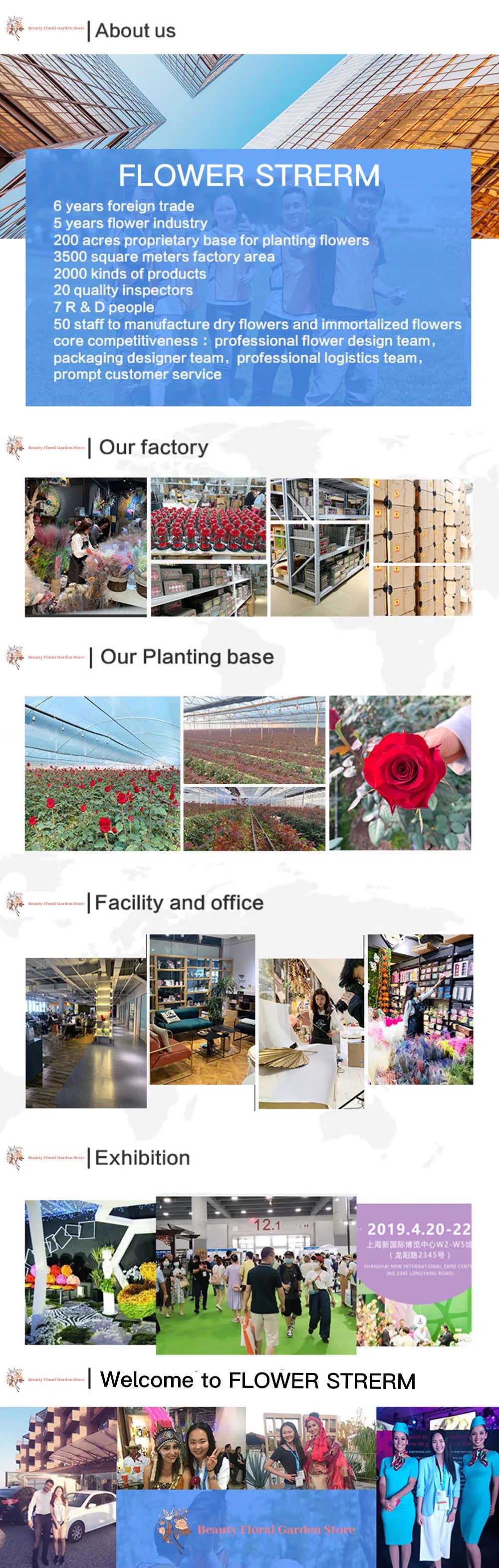 Decorazione per bouquet di fiori secchi naturali di Pampas