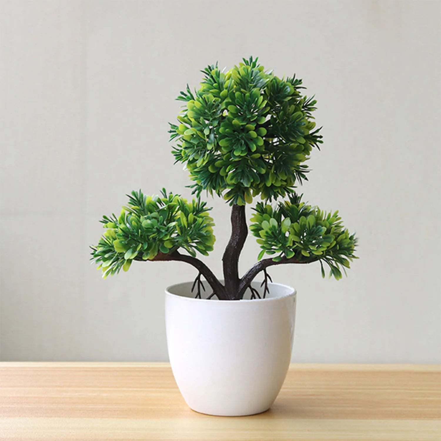 Piccolo albero, fiore, bonsai in vaso, decorazione per casa e ufficio.