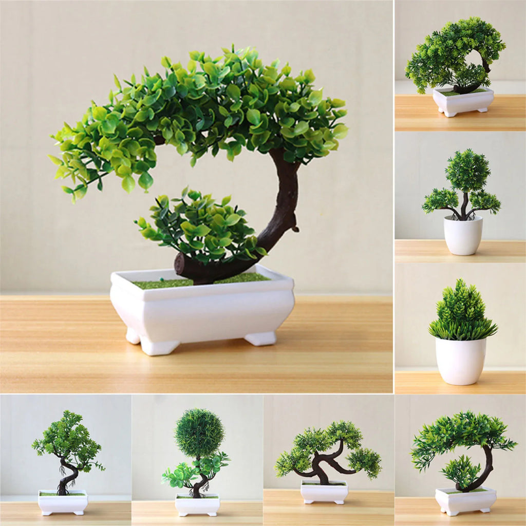 Piccolo albero, fiore, bonsai in vaso, decorazione per casa e ufficio.