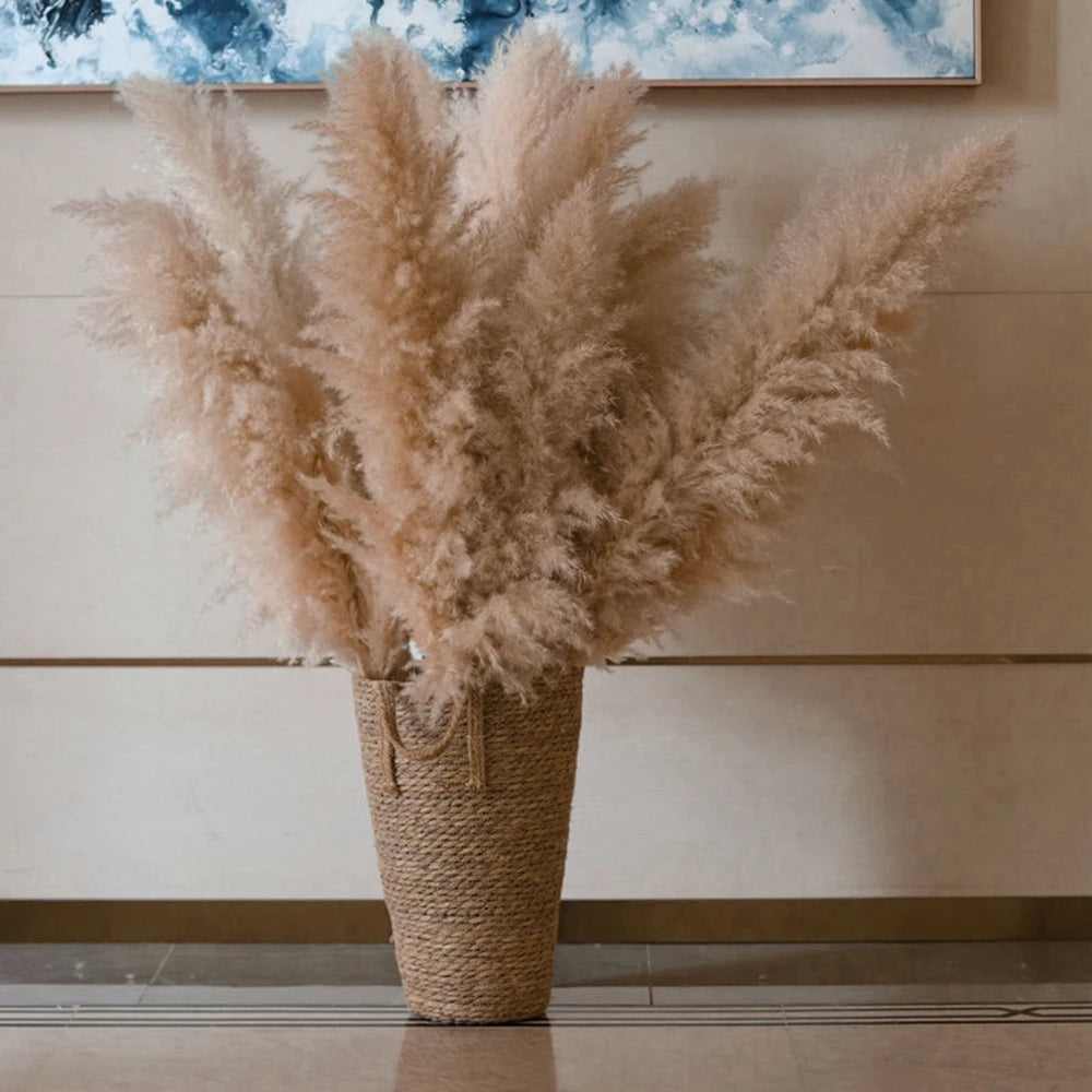 Erba della Pampa secca e soffice, grande pennacchio, 110-120 cm