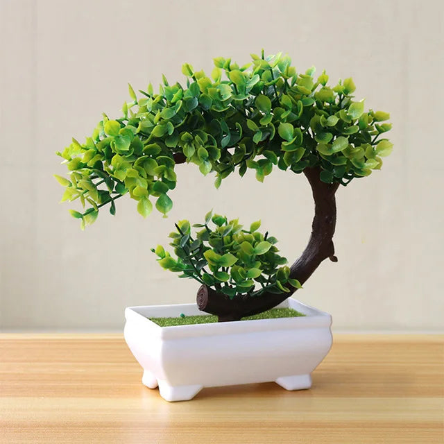 Piccolo albero, fiore, bonsai in vaso, decorazione per casa e ufficio.