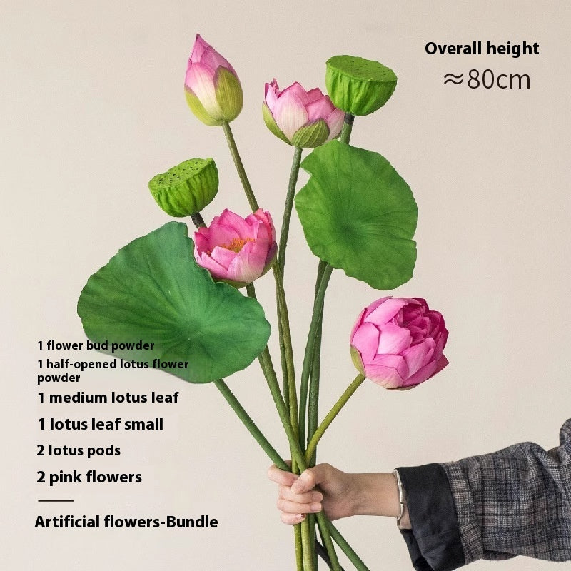 Flowers Lotus Lotus Pods