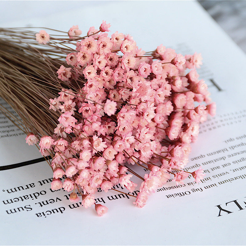 Artificial Flowers Spring Decoration Bright Color Dried