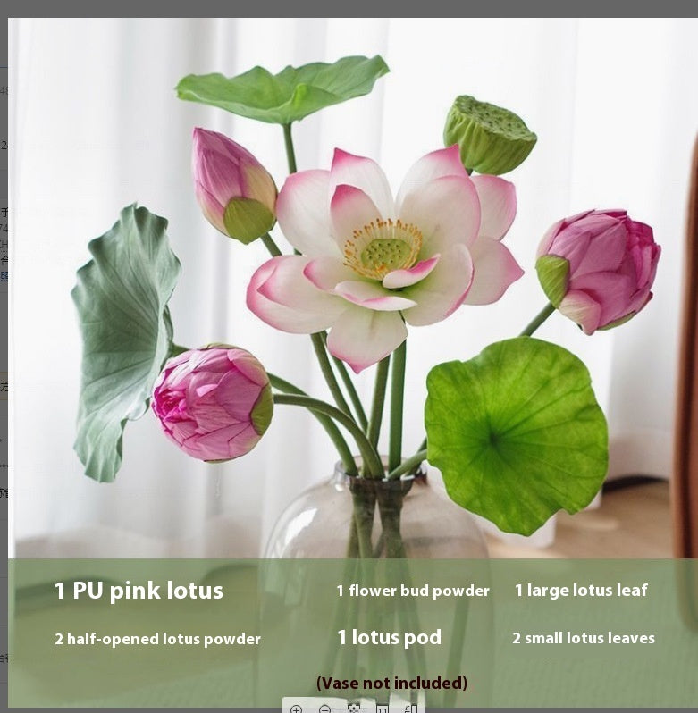 Flowers Lotus Lotus Pods