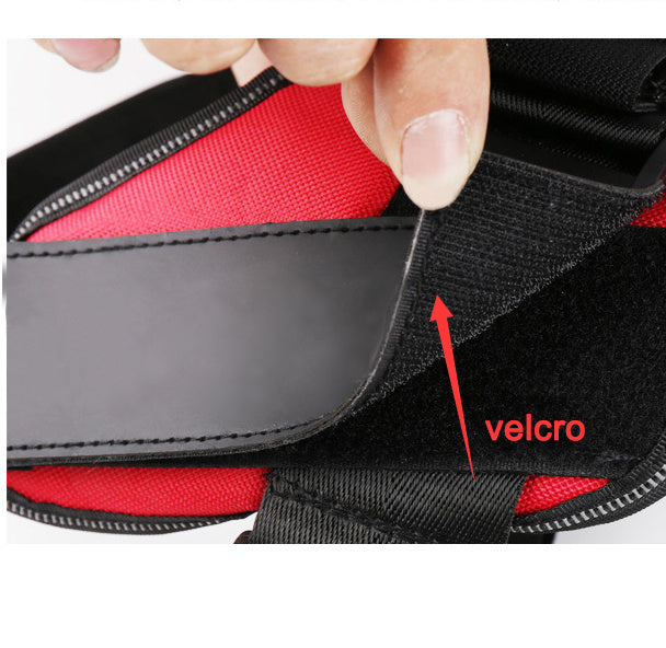 Pettorina traspirante per cani NO PULL con toppa