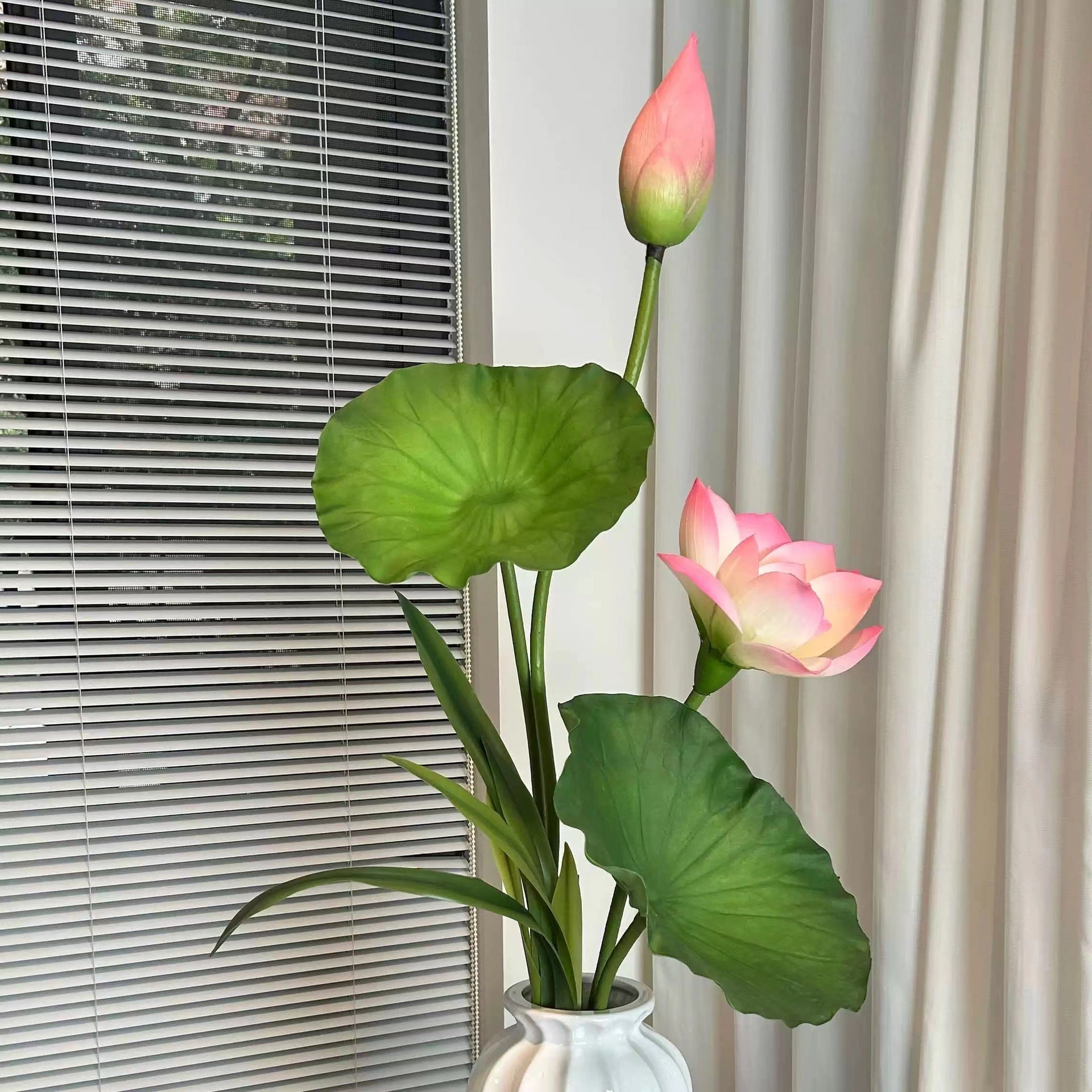 Fiori di loto Baccelli di loto