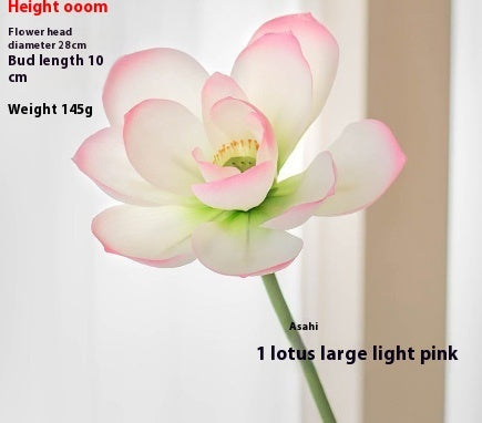 Flowers Lotus Lotus Pods