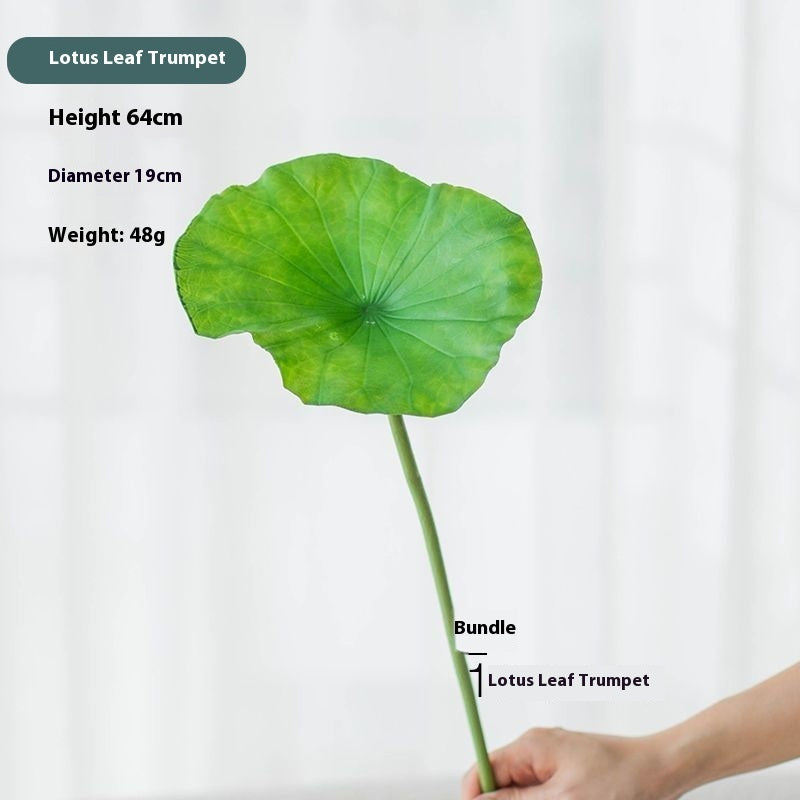 Fiori di loto Baccelli di loto