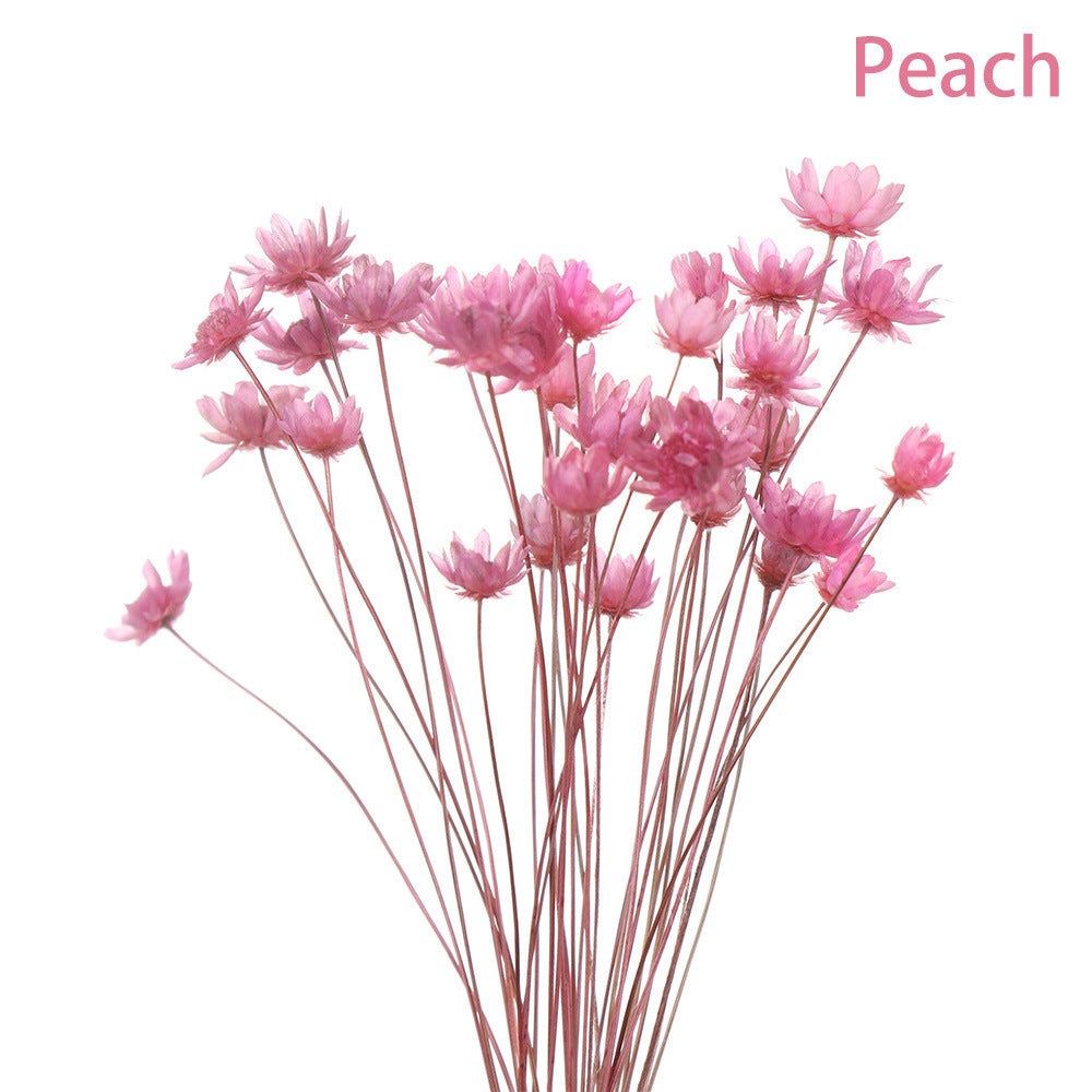 Artificial Flowers Spring Decoration Bright Color Dried