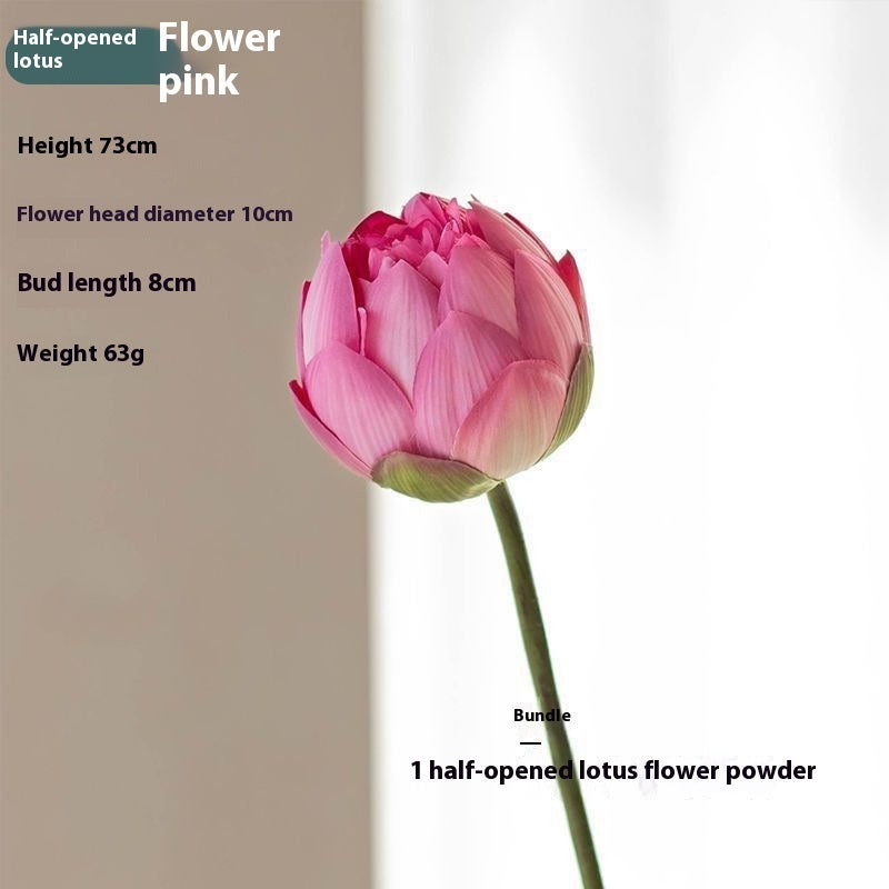 Flowers Lotus Lotus Pods