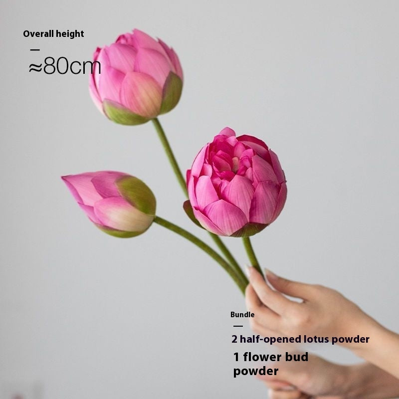 Flowers Lotus Lotus Pods