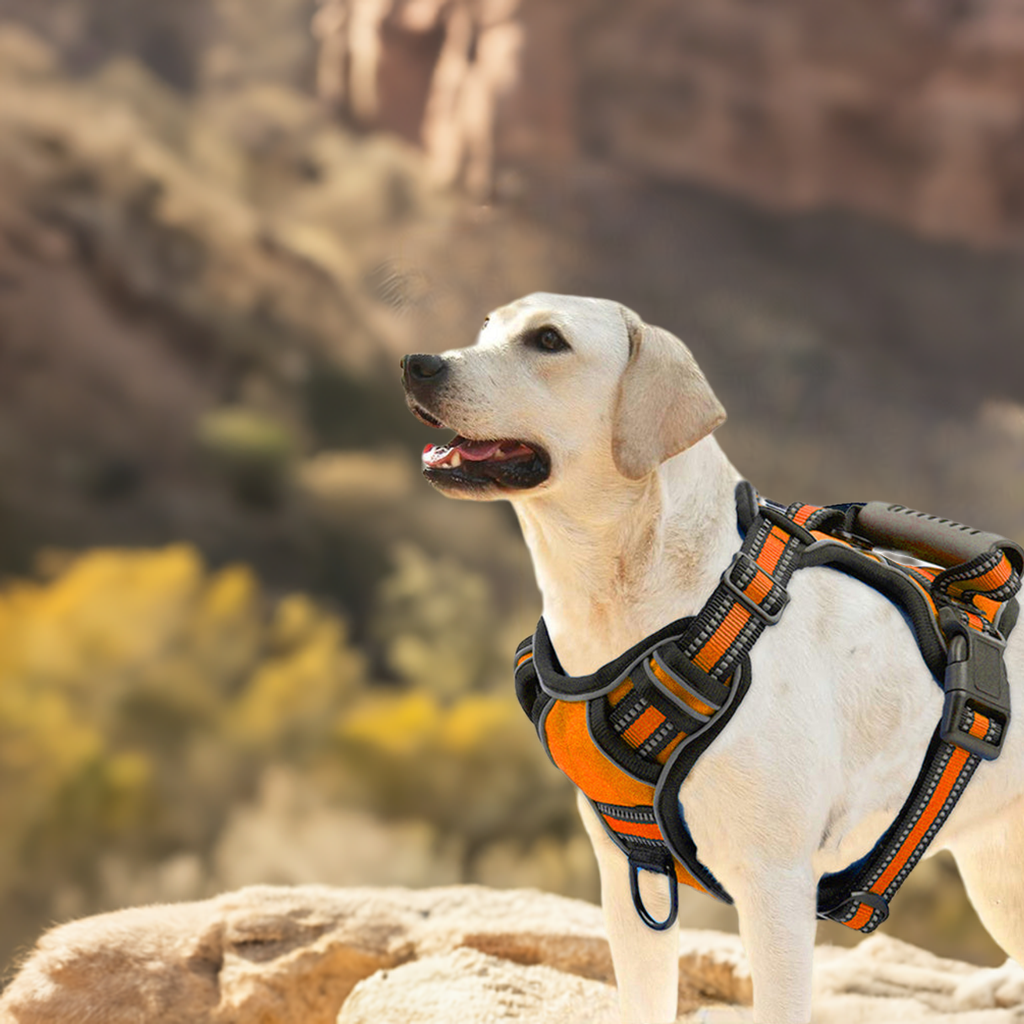 Dog Harness No Pull Breathable Reflective Pet Harness Vest