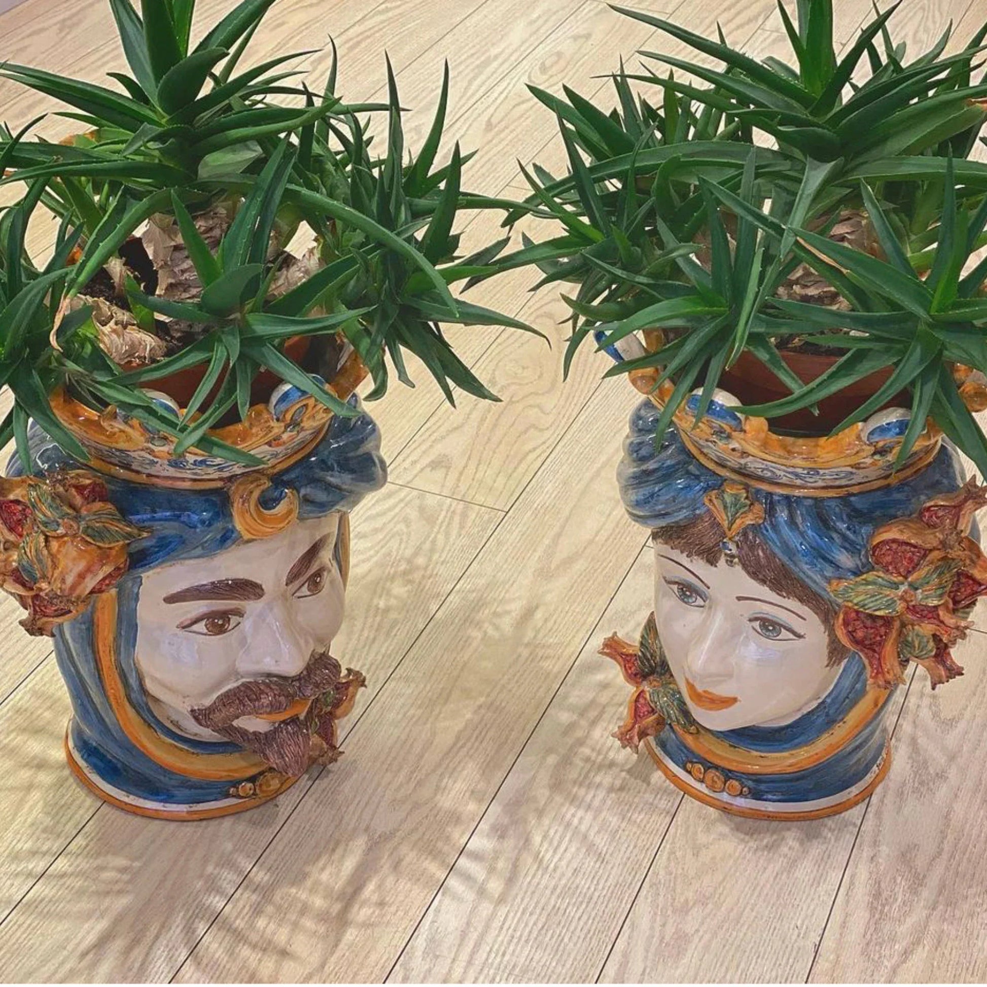 Testa h 40 melograni blu e arancio maschio bianco